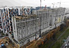 Ноябрь 2020