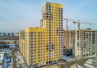 Февраль 2019